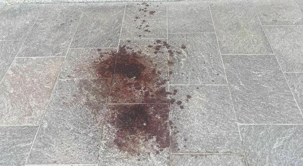 Stazione di Calalzo: le tracce di sangue ritrovate sul pavimento e la pulizia degli interni