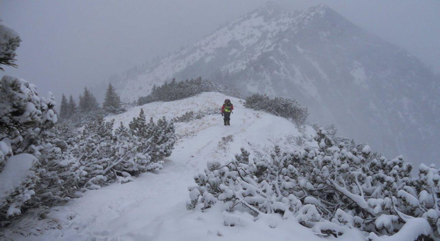 Monte Portule, sull'altopiano di Asiago, dove una valanga ha travolto lo scialpinista. La foto è di repertorio