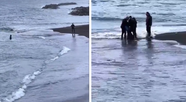 Tuffo in mare per evitare l'arresto, ma i carabinieri lo seguono e lo catturano: il video virale