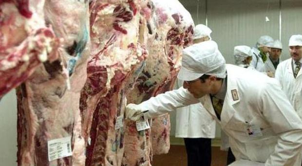 Ladri di carne restano congelati nel frigo dopo il colpo: arrestati