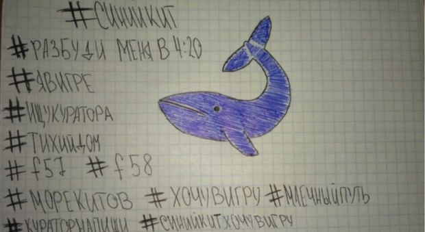 Blue Whale, primo indagato in Italia: è una ragazza, "chiedeva a una 12enne le foto dei tagli"