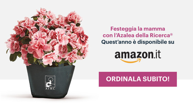 Festa della Mamma 2021, l'Azalea della Ricerca Airc anche su Amazon: donazioni in piazza e online