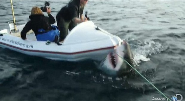 Attaccati dallo squalo mentre girano un documentario: gli attimi di panico in un video