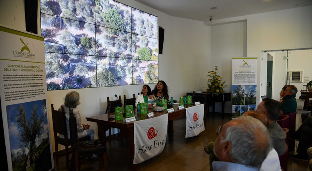 Anacapri: L’Oro di Capri, un modello di sostenibilità e rigenerazione comunitaria