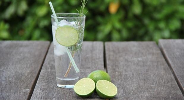 Bere gin tonic può ridurre i sintomi delle allergie