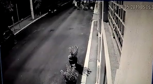 L’Aquila, vandali in via Castello ripresi dalle telecamere Video