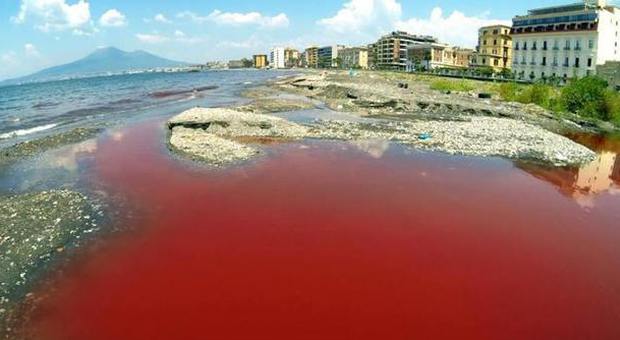 Napoli. Mare choc, a Stabia l'acqua cambia colore e diventa rosso sangue | Foto