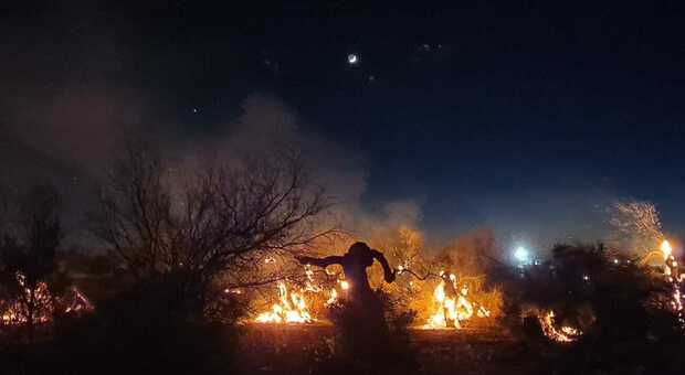 Salento, fuoco nelle campagne d'ulivi: le fiamme lambiscono la provinciale. Paura fra gli automobilisti