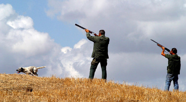 Armi illegali e uccelli di specie protette abbattuti: stangata sui cacciatori