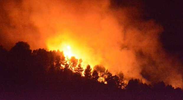 A fuoco i boschi della Carnia: forse doloso il mega rogo, è emergenza