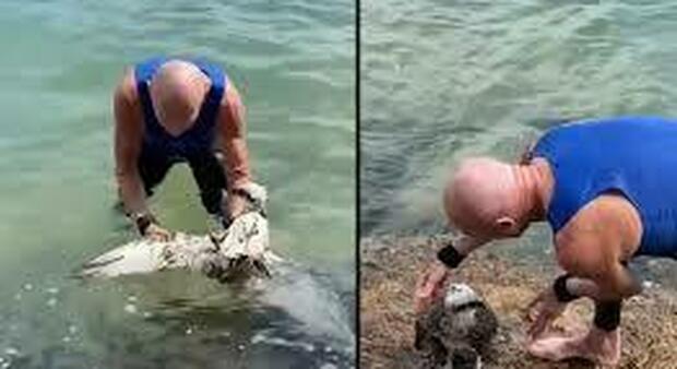 Un uomo salta nell'oceano per salvare un falco pescatore impigliato in una rete