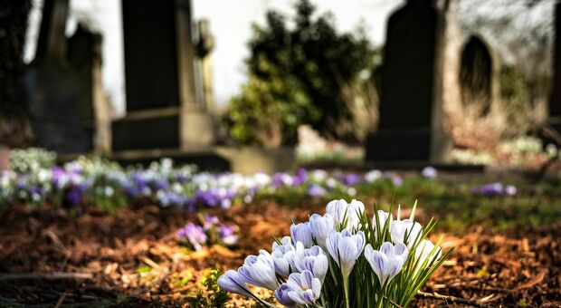 Cimitero (foto Pexels - Pixabay)