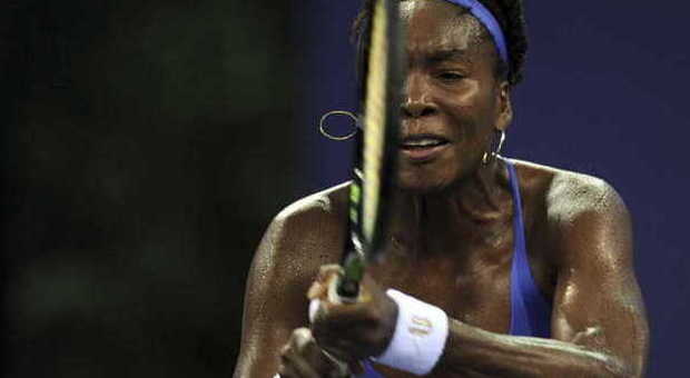 Zhuhai, Pliskova e Venus Williams in finale: battute Svitolina e Vinci
