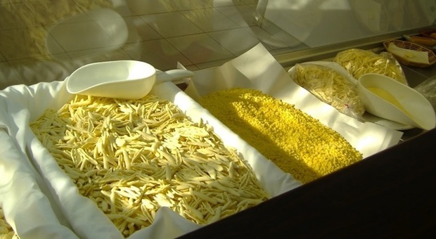 Avellino, alimenti conservati male: sequestrati pasta fresca e formaggi