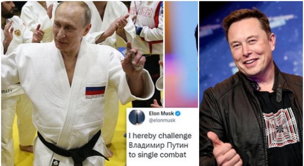 Putin, Elon Musk lo provoca sui social: «Sfidiamoci in arti marziali, Ucraina in palio». E cita Narcos