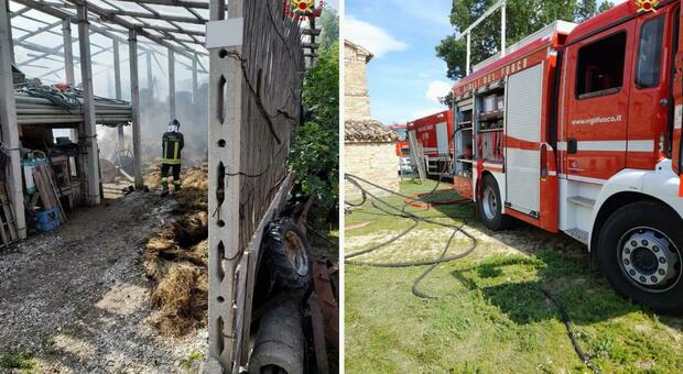 Incendio in un fienile a Filottrano: il rogo distrugge mezzi agricoli e attrezzature