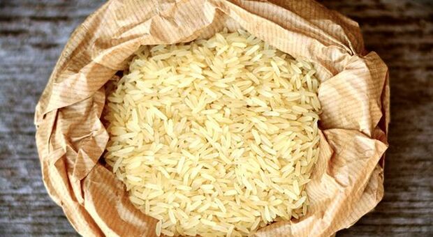 Agroalimentare, CIA: via libera a export in Cina varietà da risotto italiane
