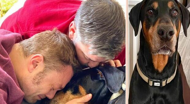 Tiziano Ferro, dolore per la morte del cane Jake: «Maltrattamenti e canile, la gente non conosce l amore superiore»