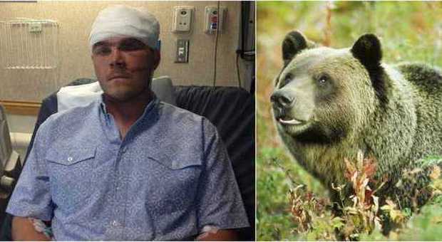Aggredito da un enorme orso grizzly di 180 kg: si salva per miracolo. "Ecco come ho fatto"