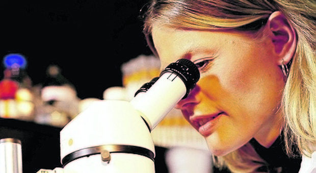 La ricerca dei batteri al microscopio