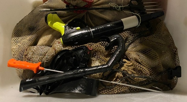 Lido Riccio, sorpresi a pescare di frodo polpi: mille euro di multa e attrezzatura da sub sequestrata
