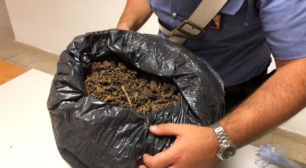 Roma, dieci chili di “erba” nel sacco: arrestato