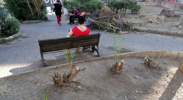 Piazza Mazzini, la Municipalità all'attacco: «Aiuole e giardini devastati dai volontari»