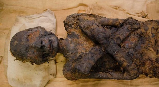 Sorpresa nella teca di Meryt e Baby: le due mummie egizie non sono sole