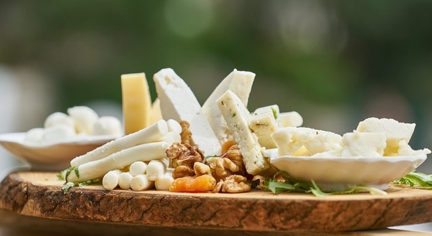 World Cheese Awards, l'Italia in gara a Oviedo con 40 campioni: alla competizione 4.000 formaggi di tutto il mondo