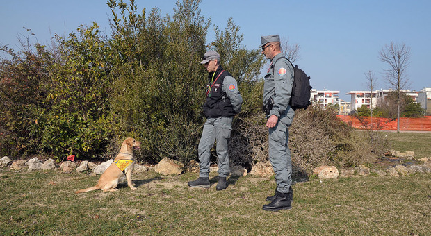 Civitanova, allarme polpette mortali: al parco arrivano i cani anti-veleno