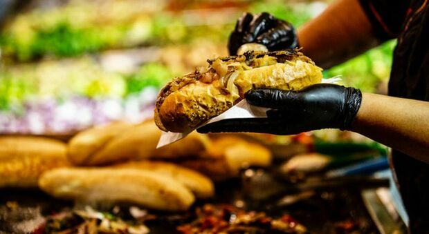 Street food, i locali migliori di Puglia: 26 in tutta la regione/Ecco gli indirizzi