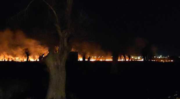 Paura a Ugento per un incendio: le fiamme lambiscono le case e arrivano i vigili del fuoco
