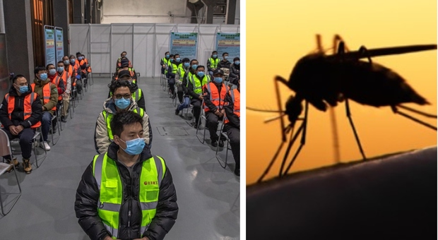 «La Cina ora è una nazione libera dalla malaria»: la certificazione dell'Oms