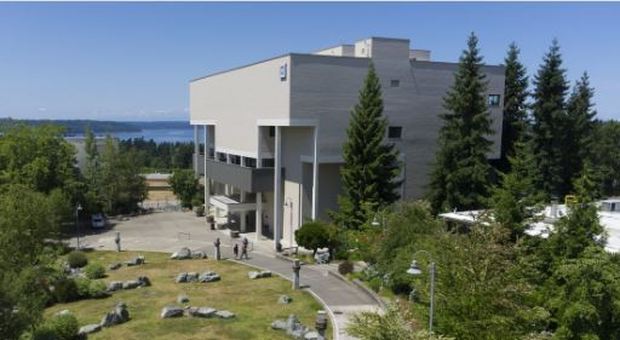 Seattle, allarme in un college: «Uditi colpi di arma da fuoco»