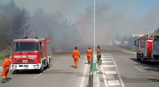 Incendi boschivi, riunione operativa per contrastare l'emergenza nel Salento