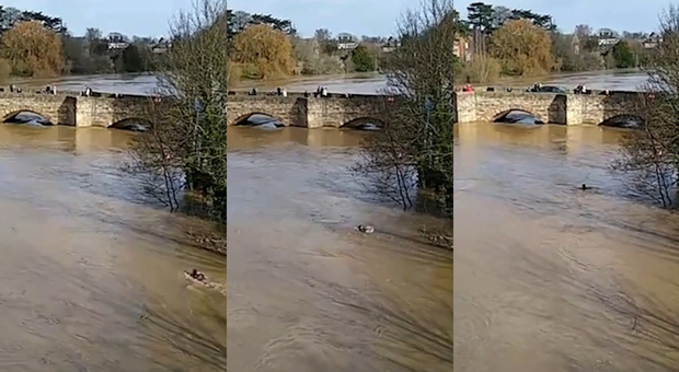 Inghilterra, rischia la vita per una bravata: giovane costretto a nuotare in un fiume in piena