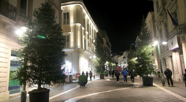 Natale a Benevento, ok ai pini sul Corso e maxi abeti nelle contrade