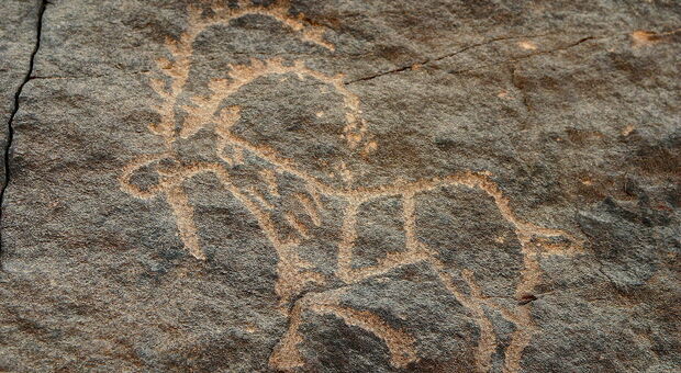Sito di Hima in Arabia Saudita in patrimonio Umanità Unesco: arte nella roccia da millenni sulla rotta dei viaggi commerciali