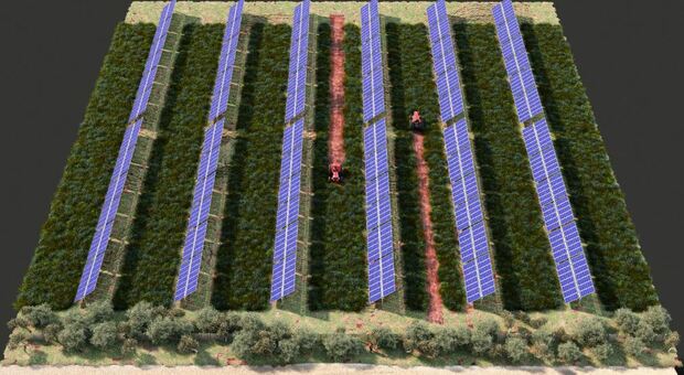 Agrivoltaico, il futuro è big. Enel green Power vara a Tarquinia l'impianto più grande d'Italia