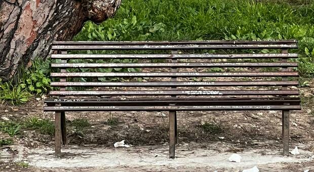 Dopo l'attacco dei vandali la panchina di Tiziano Ferro torna al suo posto nel parco Falcone-Borsellino