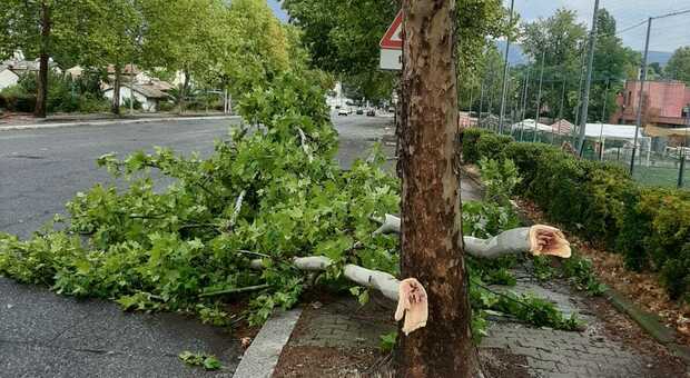 Terni, allagamenti e alberi caduti: M5S annuncia esposto. Lega: «Propaganda nascosta da ambientalismo»