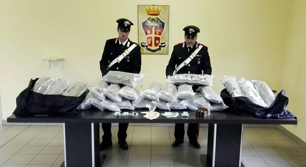 Droga dalla Spagna all'Italia, arrestati tre narcos dell'Irpinia
