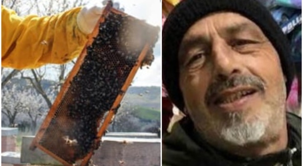 Assalito da uno sciame di api e calabroni, imprenditore muore per choc anafilattico: aveva 59 anni