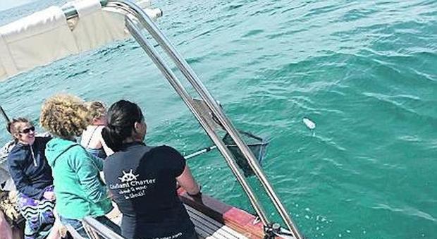 Gita in barca con retino, nel golfo di Sorrento nasce il safari dei rifiuti