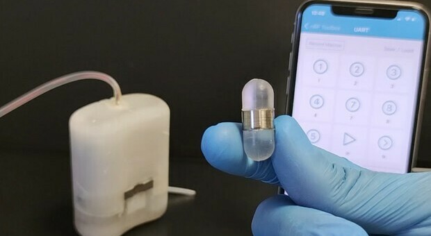 Medicina, robot impiantabili e capsule magnetiche per combattere il diabete: la ricerca italiana