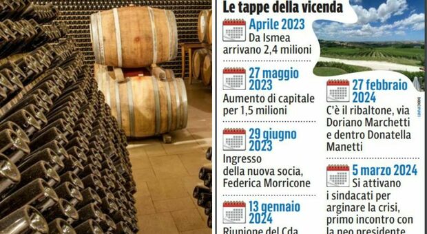 Caso Moncaro, la Regione in pressing: «Preoccupati per la filiera del vino»