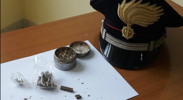 Roma, piante di marijuana, cocaina, hashish ed ecstasy: arrestato operaio