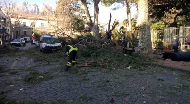 Maltempo sulla Campania, oculista muore schiacciato da un albero a Cava de' Tirreni