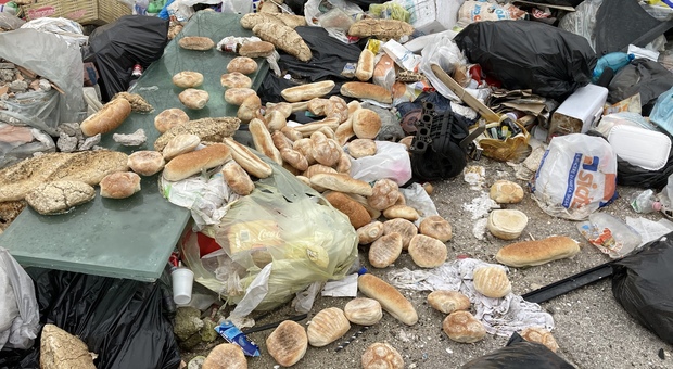 Napoli, schiaffo alla miseria: pane e panini scaricati nella discarica