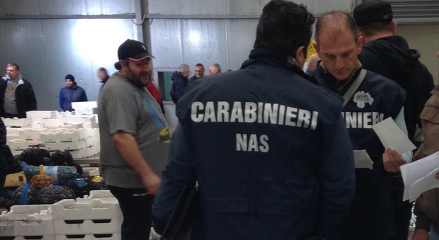 Pizzo al mercato ittico di Salerno: 4 arresti, indagati due carabinieri
